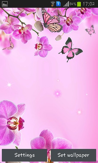 Flores rosadas  - descargar los fondos de pantalla animados gratis para el teléfono Android 4.4.4.