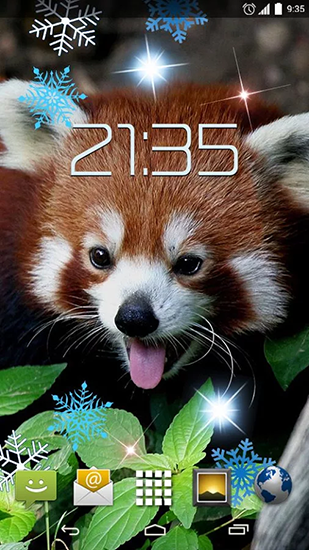 Panda rojo  - descargar los fondos de pantalla animados Animales gratis para el teléfono Android.