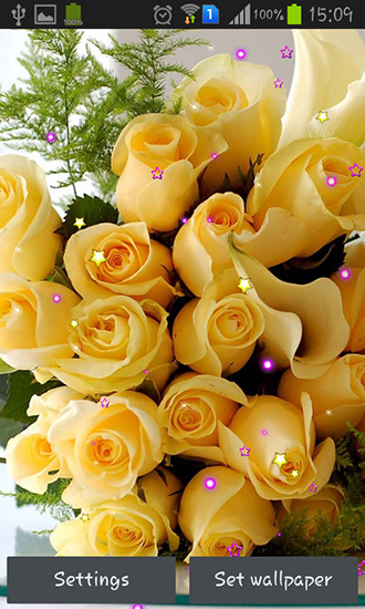 Rosas y amor - descargar los fondos de pantalla animados Flores gratis para el teléfono Android.