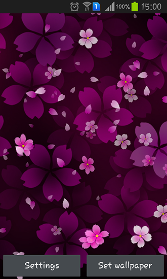 Caída de las flores de cerezo - descargar los fondos de pantalla animados gratis para el teléfono Android 6.0.
