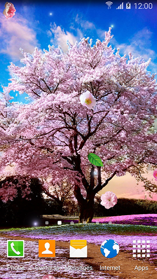 Jardines de Sakura - descargar los fondos de pantalla animados gratis para el teléfono Android 4.1.