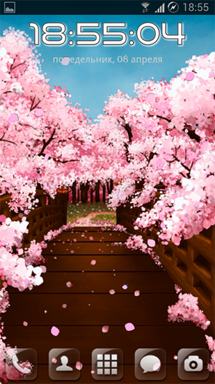 Puente de sakura - descargar los fondos de pantalla animados Flores gratis para el teléfono Android.
