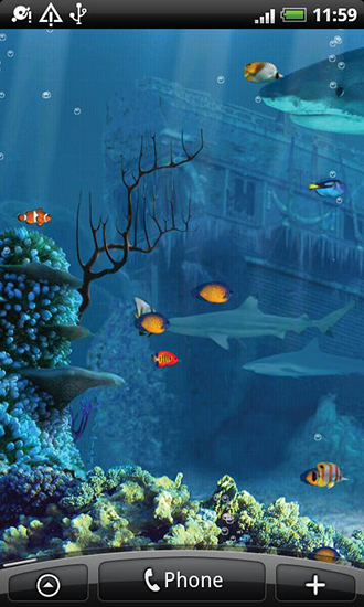 Arrecife de tiburones - descargar los fondos de pantalla animados Acuarios gratis para el teléfono Android.