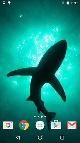 Tiburones  - descargar los fondos de pantalla animados Animales gratis para el teléfono Android.