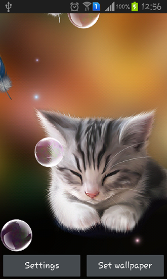 Gatito soñoliento  - descargar los fondos de pantalla animados gratis para el teléfono Android 4.1.2.