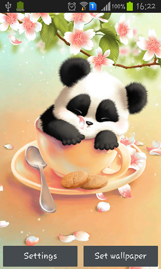 Descargar los fondos de pantalla animados Panda soñolienta para teléfonos y tabletas Android gratis.