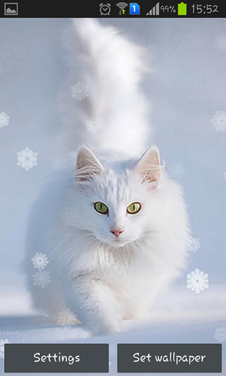 Gatos de nieve - descargar los fondos de pantalla animados gratis para el teléfono Android 4.4.2.