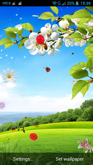 Primavera  - descargar los fondos de pantalla animados Flores gratis para el teléfono Android.
