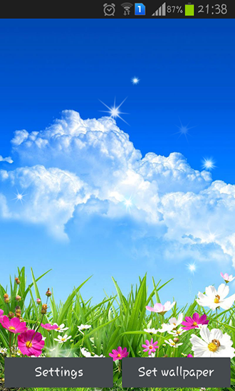 Flor de primavera - descargar los fondos de pantalla animados gratis para el teléfono Android 4.1.