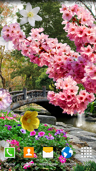 Jardín de primavera  - descargar los fondos de pantalla animados gratis para el teléfono Android 4.1.1.