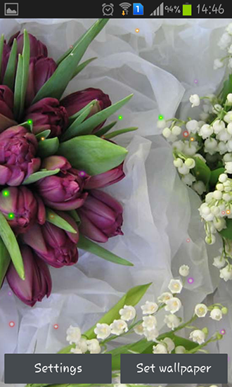 Lirios y tulipanes de primavera - descargar los fondos de pantalla animados Flores gratis para el teléfono Android.