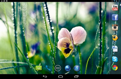 Lluvia de primavera - descargar los fondos de pantalla animados gratis para el teléfono Android 4.0.1.