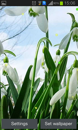Campanillas verdes de primavera - descargar los fondos de pantalla animados Flores gratis para el teléfono Android.