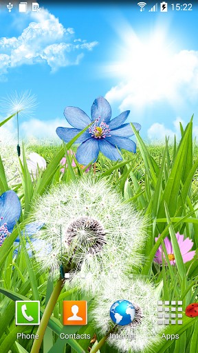 Flores de verano - descargar los fondos de pantalla animados gratis para el teléfono Android 4.1.