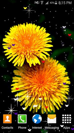 Flores de verano  - descargar los fondos de pantalla animados Flores gratis para el teléfono Android.