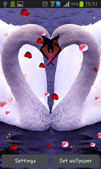 Cisnes: Amor - descargar los fondos de pantalla animados gratis para el teléfono Android 4.2.