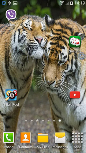 Tigres: Sacude y cambia  - descargar los fondos de pantalla animados Animales gratis para el teléfono Android.