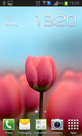 Tulipán 3D - descargar los fondos de pantalla animados Flores gratis para el teléfono Android.