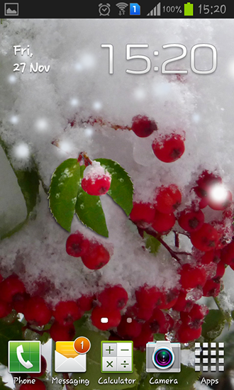 Baya de invierno  - descargar los fondos de pantalla animados Plantas gratis para el teléfono Android.