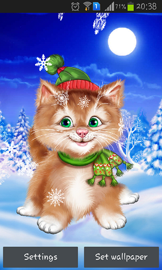 Gato de invierno - descargar los fondos de pantalla animados Vacaciones gratis para el teléfono Android.
