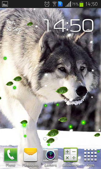 Lobos misteriosos  - descargar los fondos de pantalla animados Animales gratis para el teléfono Android.