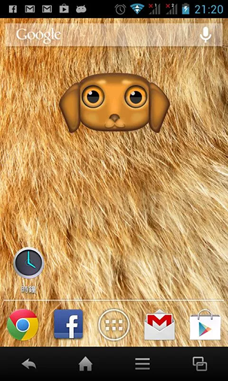 Zoológico: Perro  - descargar los fondos de pantalla animados Animales gratis para el teléfono Android.