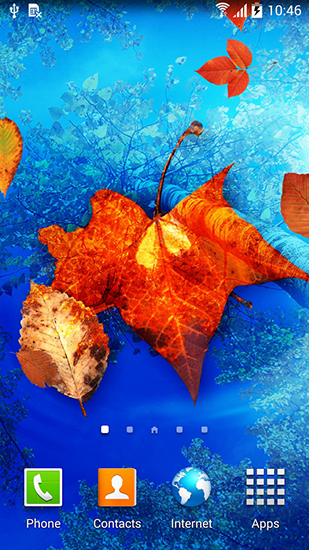 Descargar  Hojas de otoño - los fondos gratis de pantalla para Android en el escritorio. 