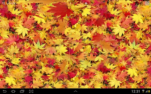 Descargar  Hojas de otoños 3D - los fondos gratis de pantalla para Android en el escritorio. 