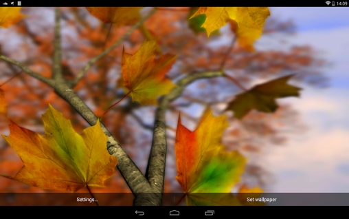 Descargar  Hojas de otoño 3D - los fondos gratis de pantalla para Android en el escritorio. 