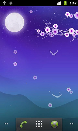 La captura de pantalla Noche floreciente   para celular y tableta.