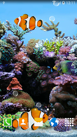 Descargar  Peces de corales 3D - los fondos gratis de pantalla para Android en el escritorio. 