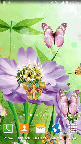Descargar  Mariposas lindas - los fondos gratis de pantalla para Android en el escritorio. 