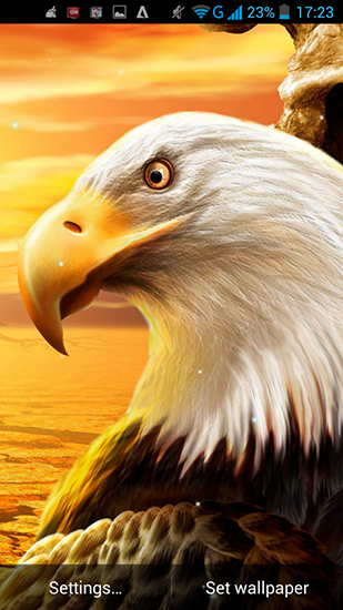 Descargar  Águila - los fondos gratis de pantalla para Android en el escritorio. 