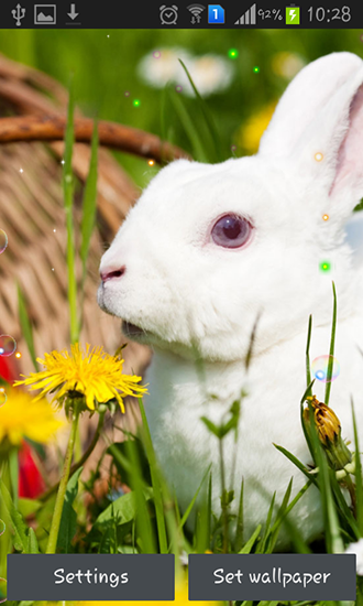 Descargar  Conejos de Pascuas 2015 - los fondos gratis de pantalla para Android en el escritorio. 