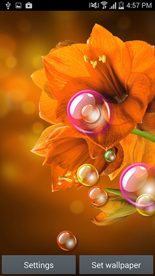 Descargar  Flores 2015 - los fondos gratis de pantalla para Android en el escritorio. 