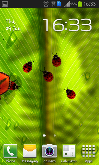 Descargar  Escarabajos amistosos - los fondos gratis de pantalla para Android en el escritorio. 