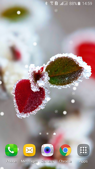 Descargar  Belleza congelada: Fábula de invierno  - los fondos gratis de pantalla para Android en el escritorio. 