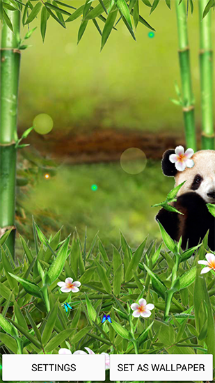 Descargar  Panda cómica  - los fondos gratis de pantalla para Android en el escritorio. 