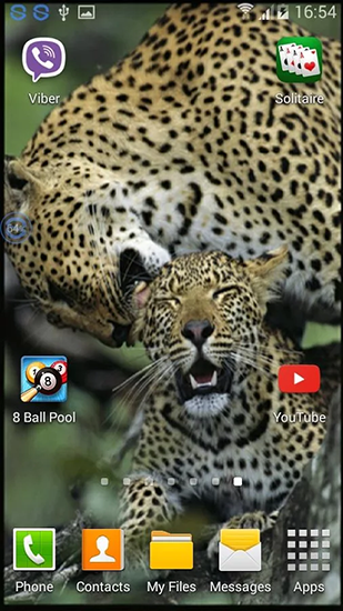 Descargar  Leopardos: Sacudelo y cambia  - los fondos gratis de pantalla para Android en el escritorio. 