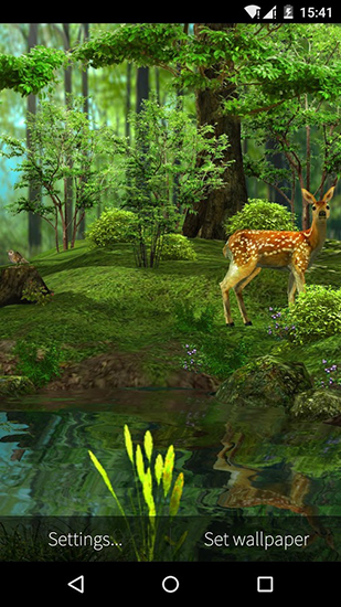 Descargar  Naturaleza 3D - los fondos gratis de pantalla para Android en el escritorio. 