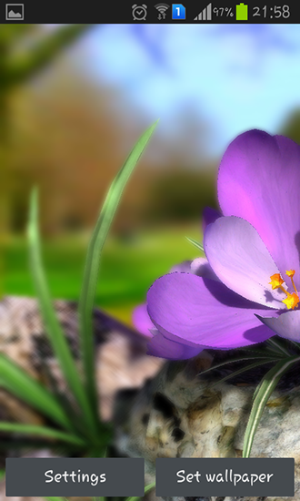 Descargar  Fauna: Flores 3D de primavera  - los fondos gratis de pantalla para Android en el escritorio. 