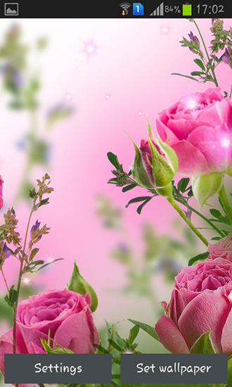 Descargar  Flores rosadas  - los fondos gratis de pantalla para Android en el escritorio. 