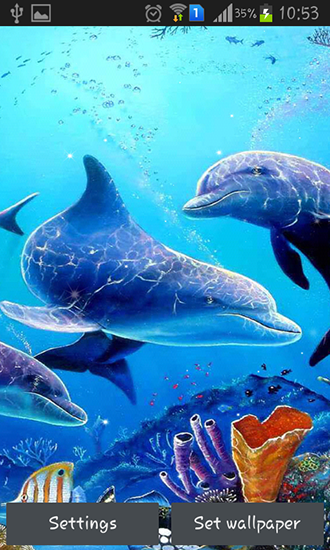Descargar  Delfín de mar - los fondos gratis de pantalla para Android en el escritorio. 