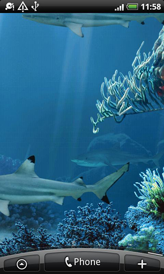 Descargar  Arrecife de tiburones - los fondos gratis de pantalla para Android en el escritorio. 
