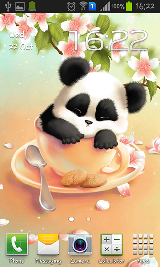 Descargar  Panda soñolienta - los fondos gratis de pantalla para Android en el escritorio. 
