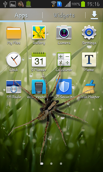 Descargar  Araña en el teléfono - los fondos gratis de pantalla para Android en el escritorio. 