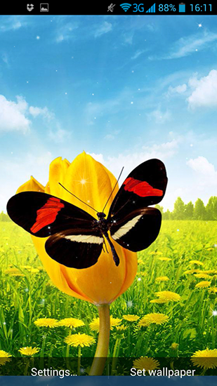 Descargar  Mariposas de primavera  - los fondos gratis de pantalla para Android en el escritorio. 