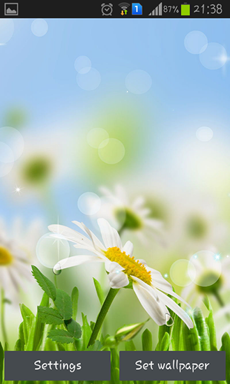 Descargar  Flor de primavera - los fondos gratis de pantalla para Android en el escritorio. 