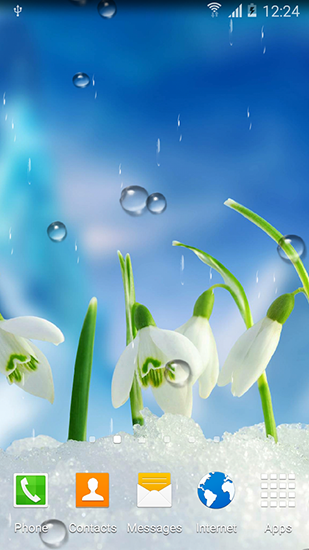 Descargar  Flores de primavera  - los fondos gratis de pantalla para Android en el escritorio. 