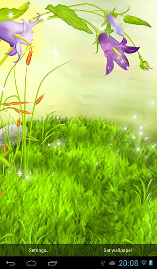 Descargar  Flores brillantes  - los fondos gratis de pantalla para Android en el escritorio. 